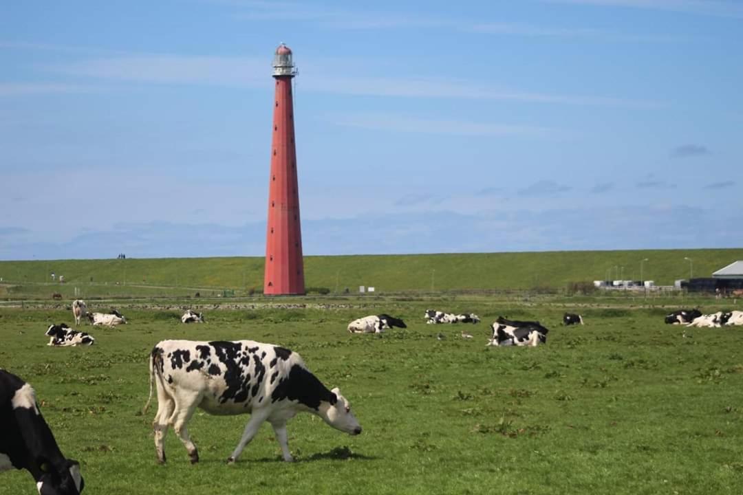 Overnachten Onder De Lange Jaap 登海尔德 外观 照片