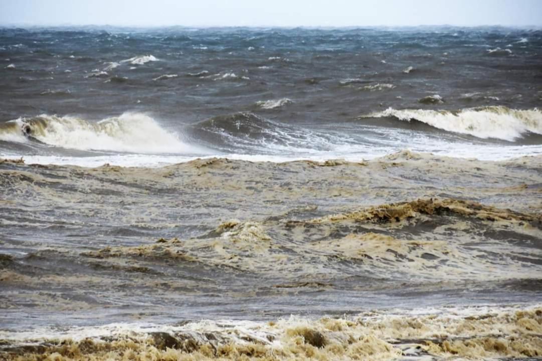 Overnachten Onder De Lange Jaap 登海尔德 外观 照片